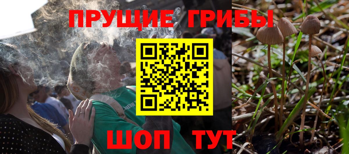 Псилоцибиновые грибы Magic Shrooms  Вход с VPN  Пыть-Ях  Галлюциногенные грибы Cubensis 