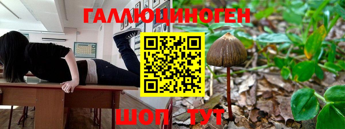 Галлюциногенные грибы Magic Shrooms Пыть-Ях